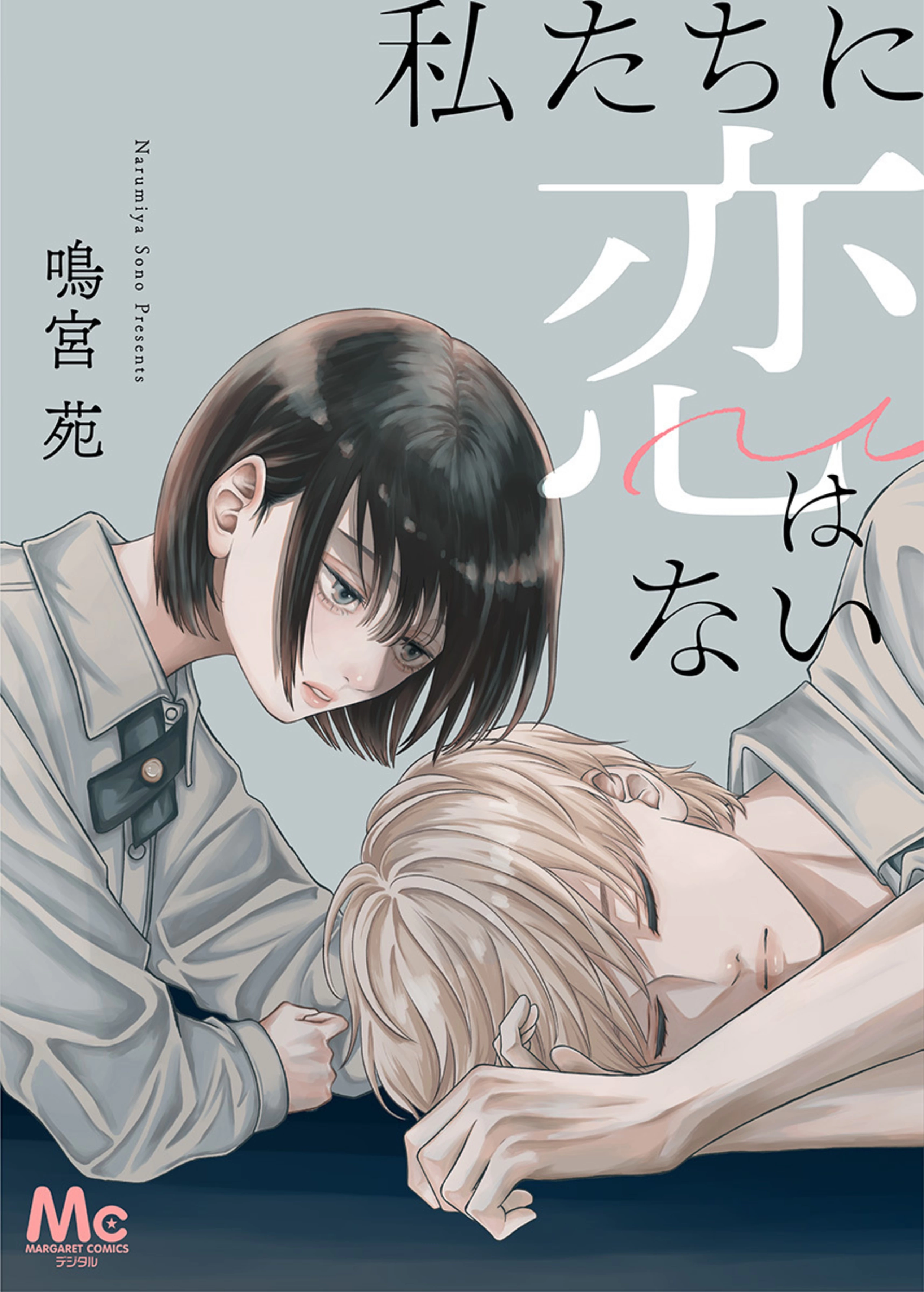 私たちに恋はない