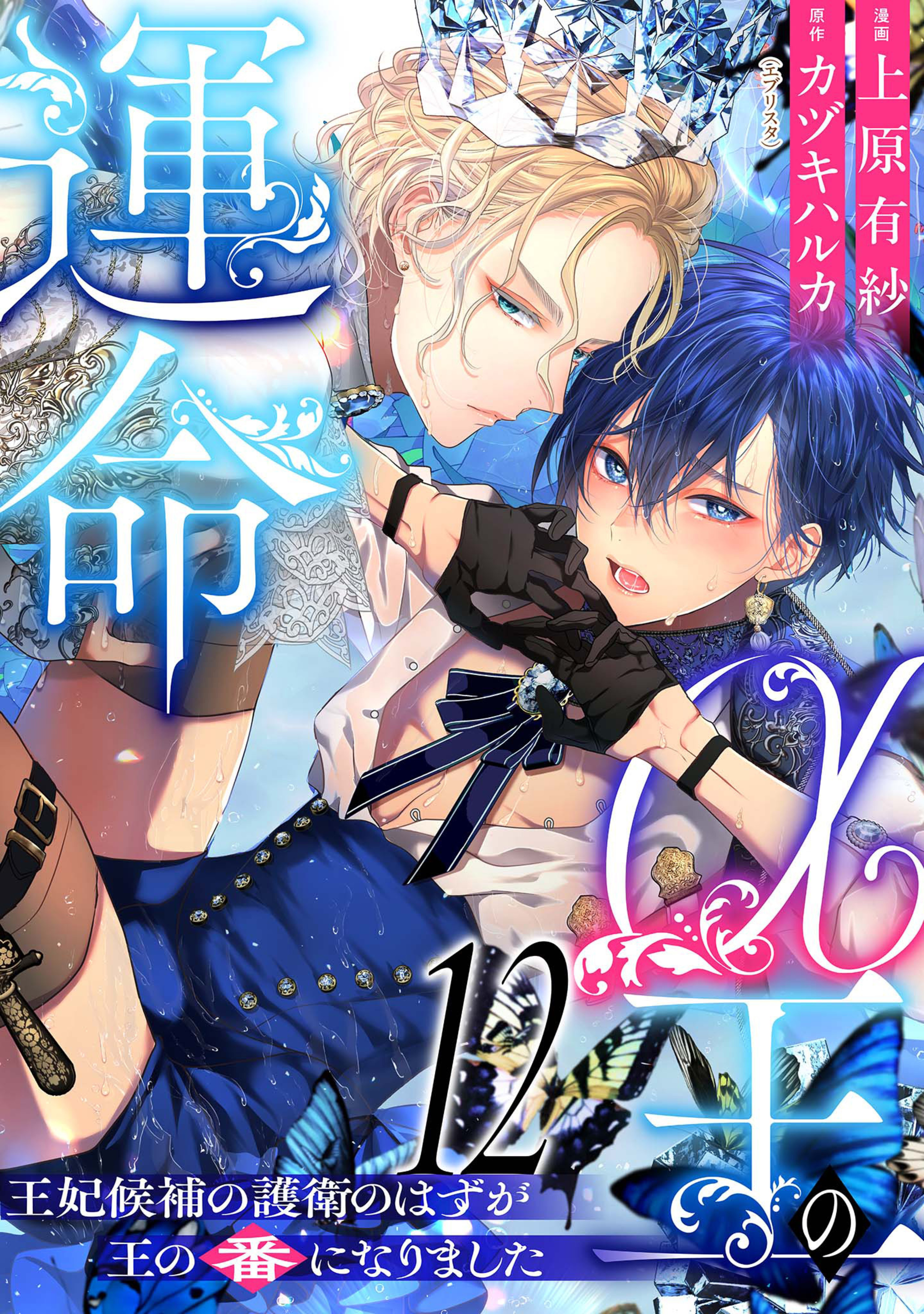 α王の運命～王妃候補の護衛のはずが王の番になりました～ 12-2996769