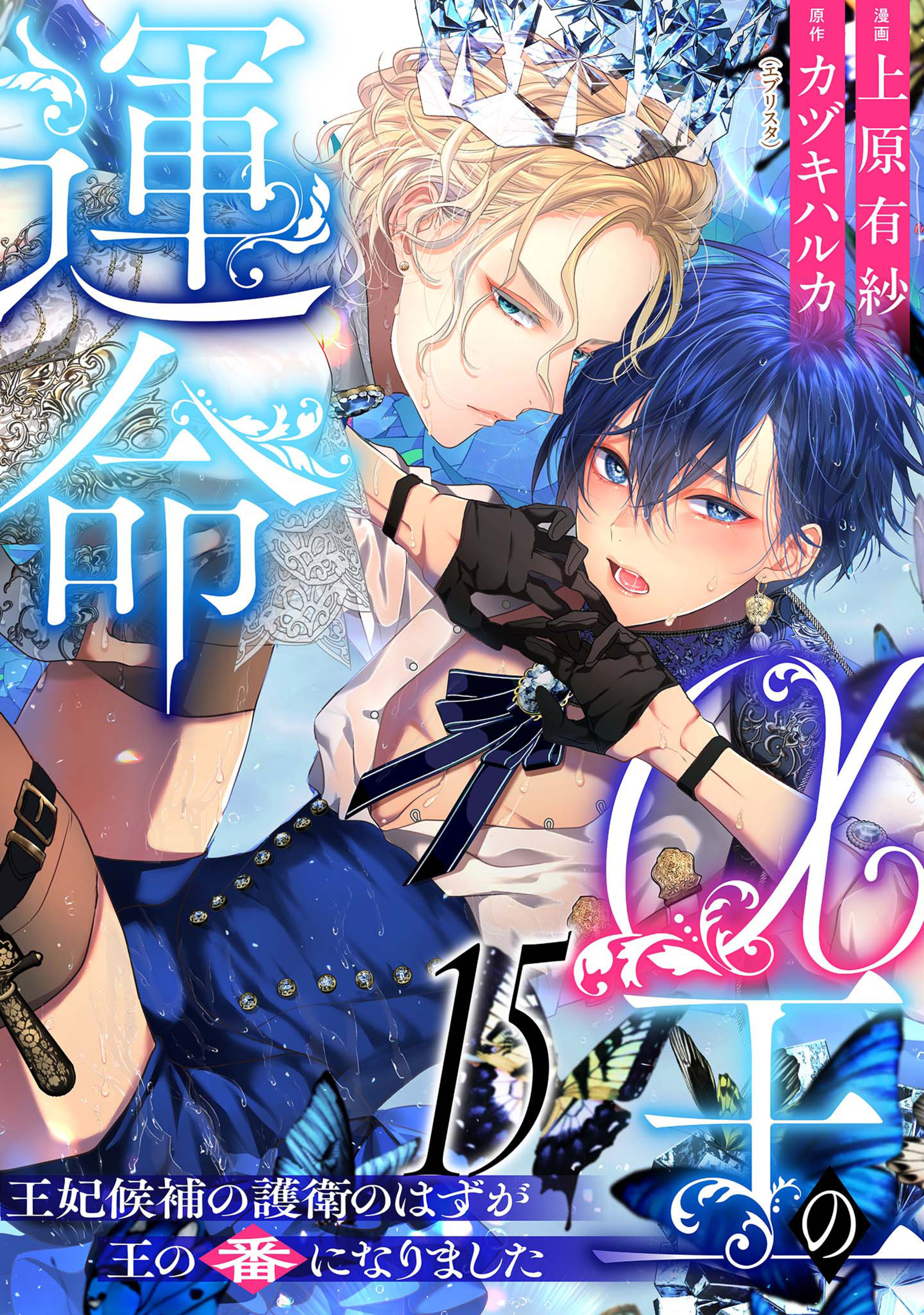 α王の運命～王妃候補の護衛のはずが王の番になりました～ 15