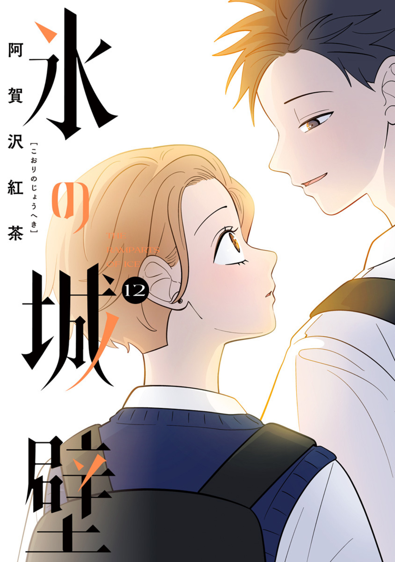 氷の城壁 12-2672157